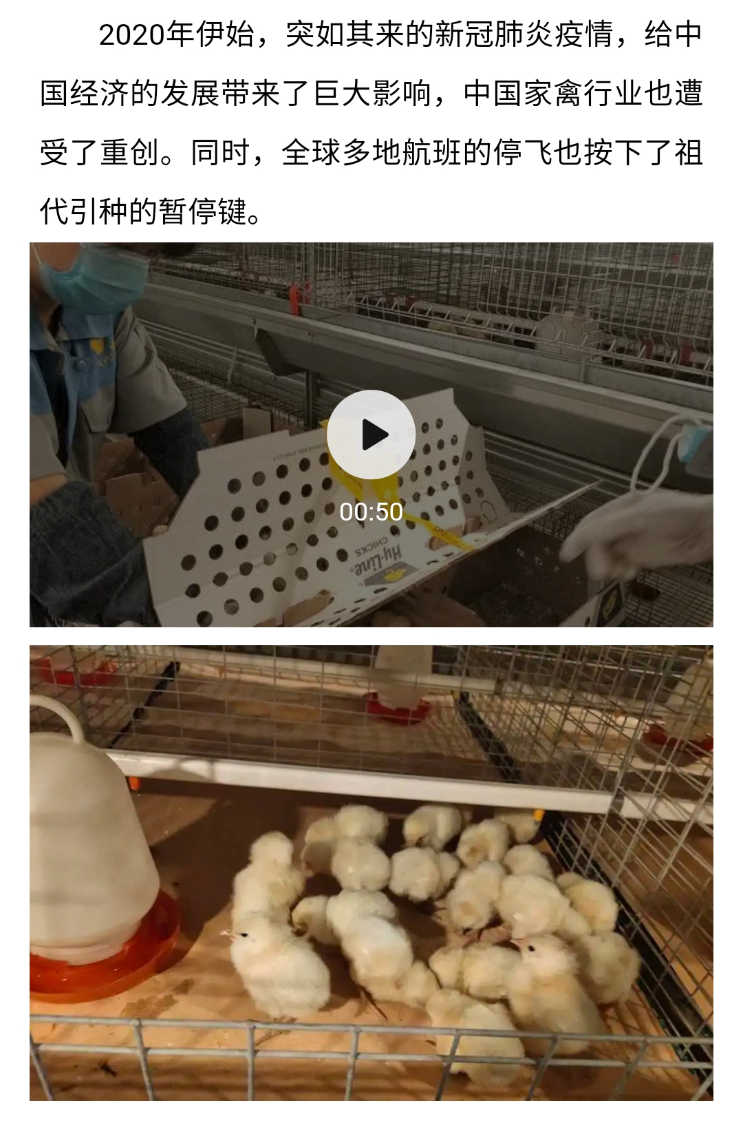 澳门十大电子游戏入口网站