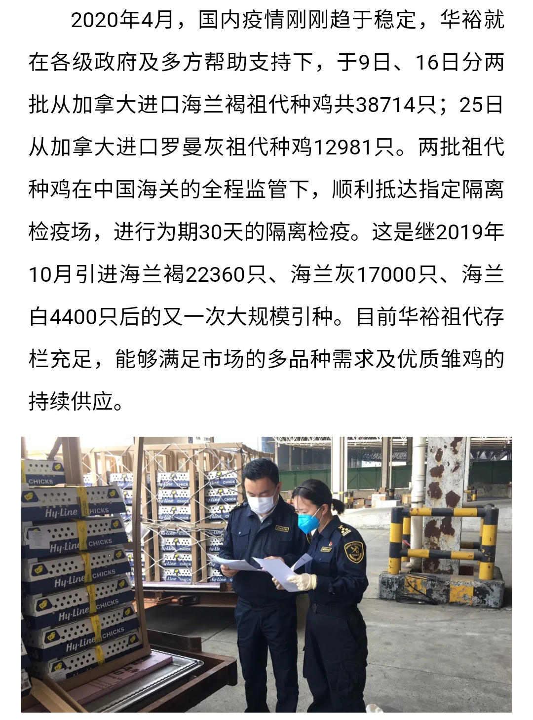 澳门十大电子游戏入口网站