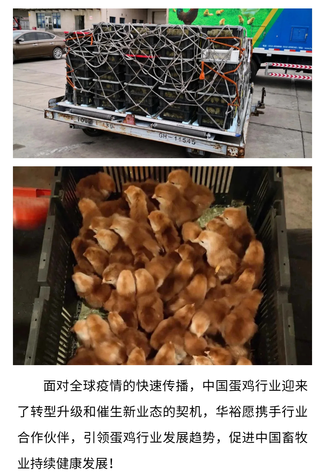 澳门十大电子游戏入口网站