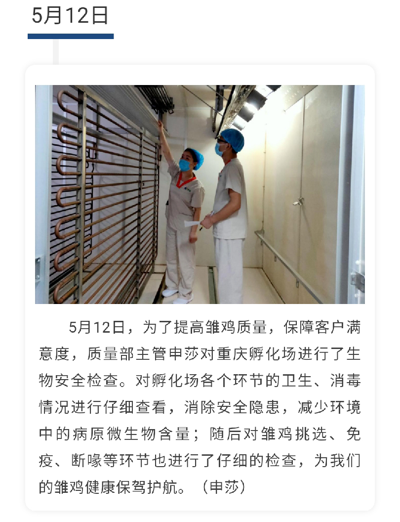 澳门十大电子游戏入口网站