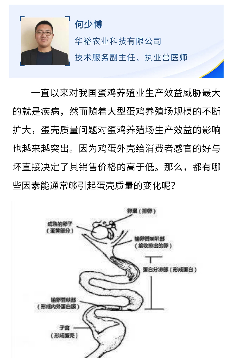 澳门十大电子游戏入口网站