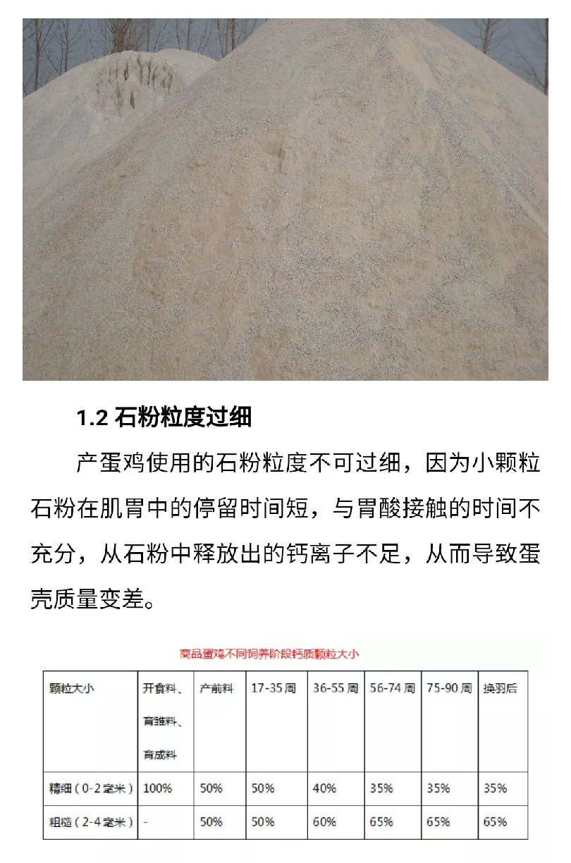 澳门十大电子游戏入口网站