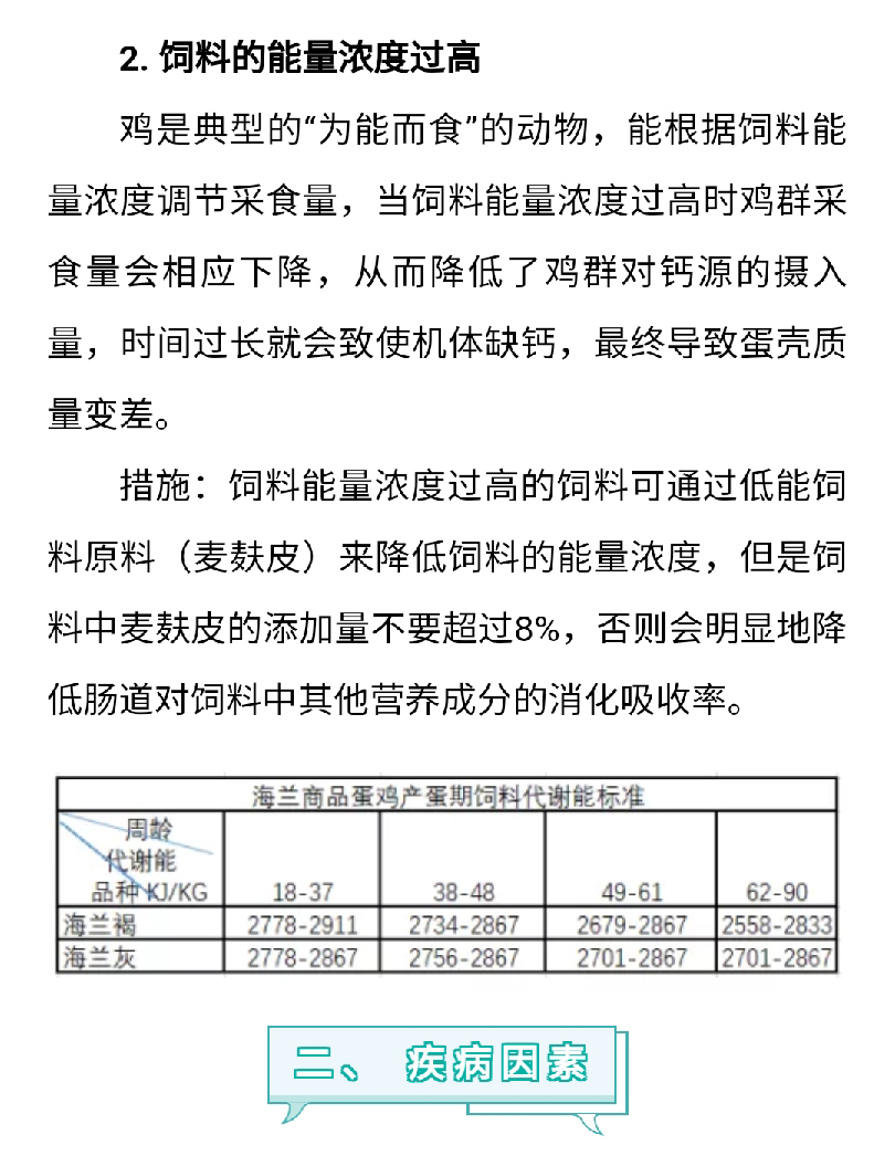澳门十大电子游戏入口网站