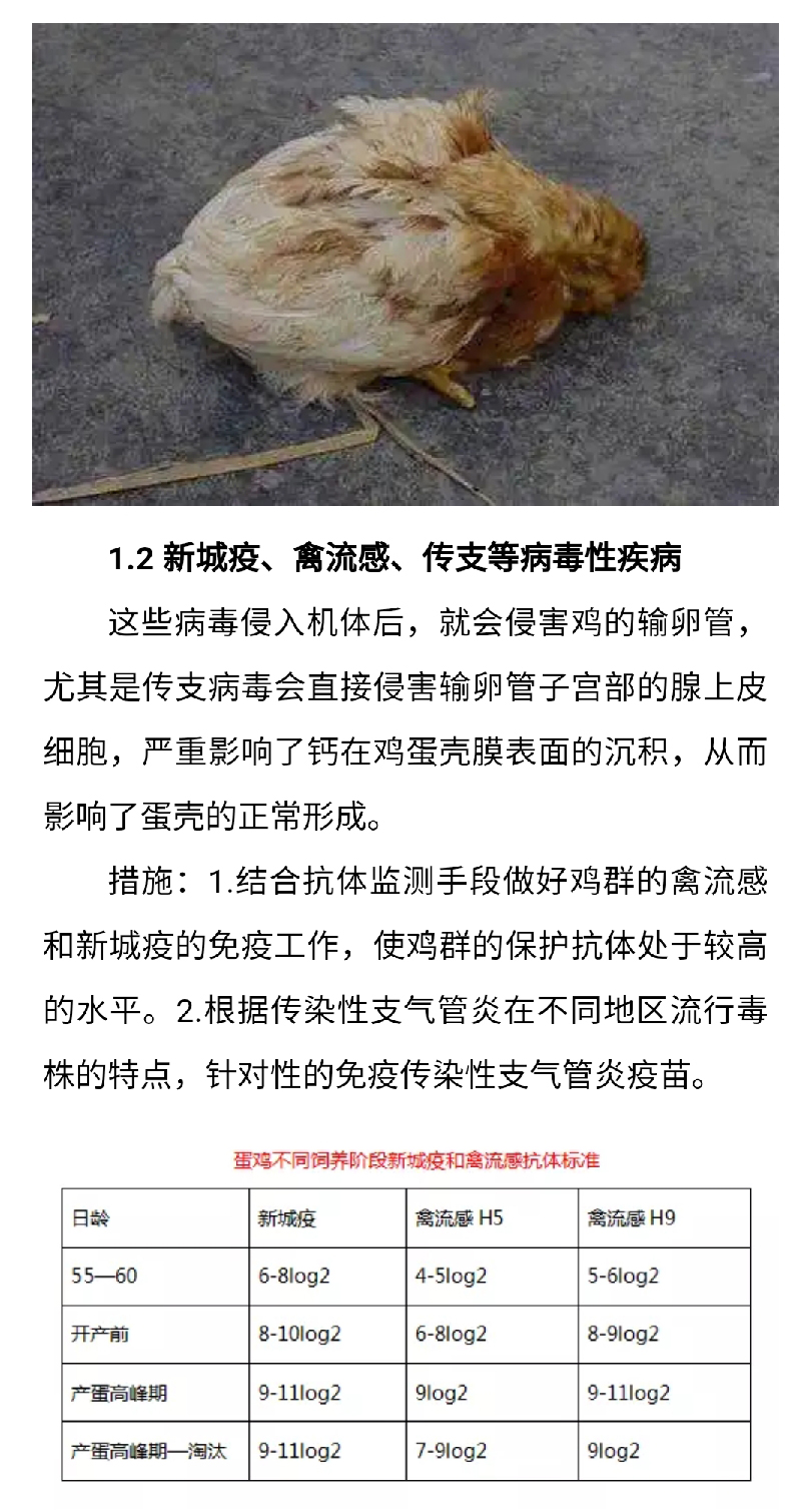 澳门十大电子游戏入口网站