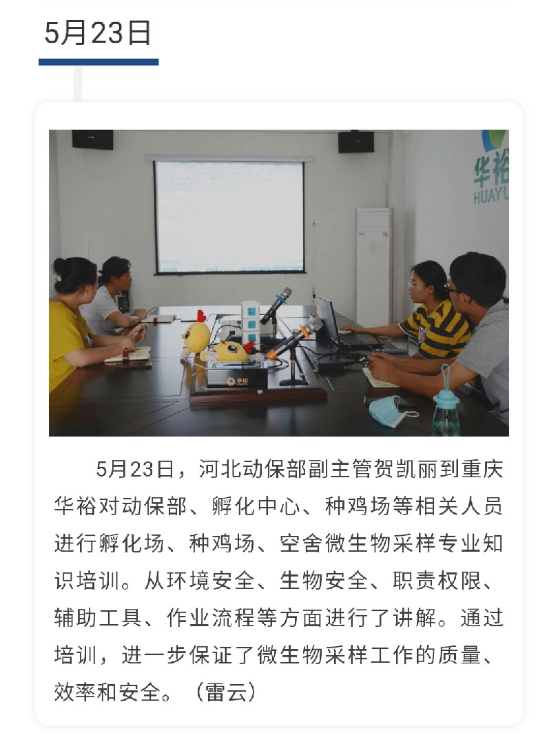 澳门十大电子游戏入口网站