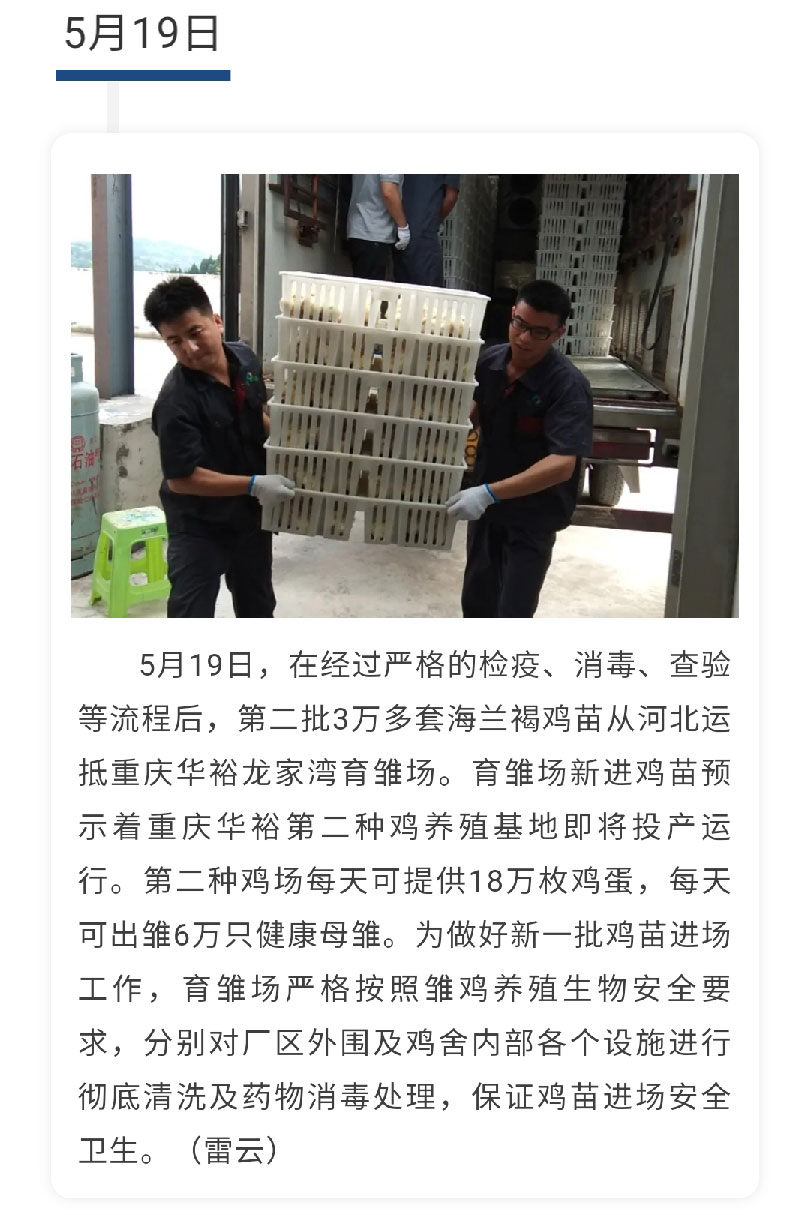 澳门十大电子游戏入口网站