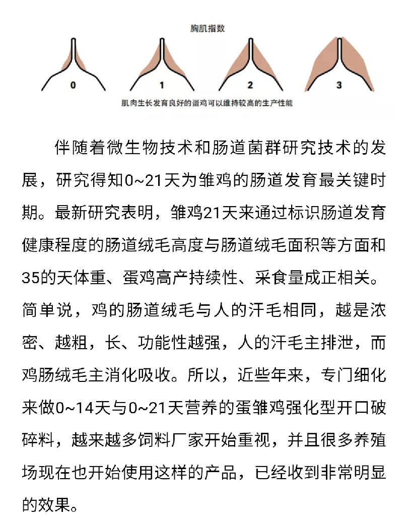 澳门十大电子游戏入口网站