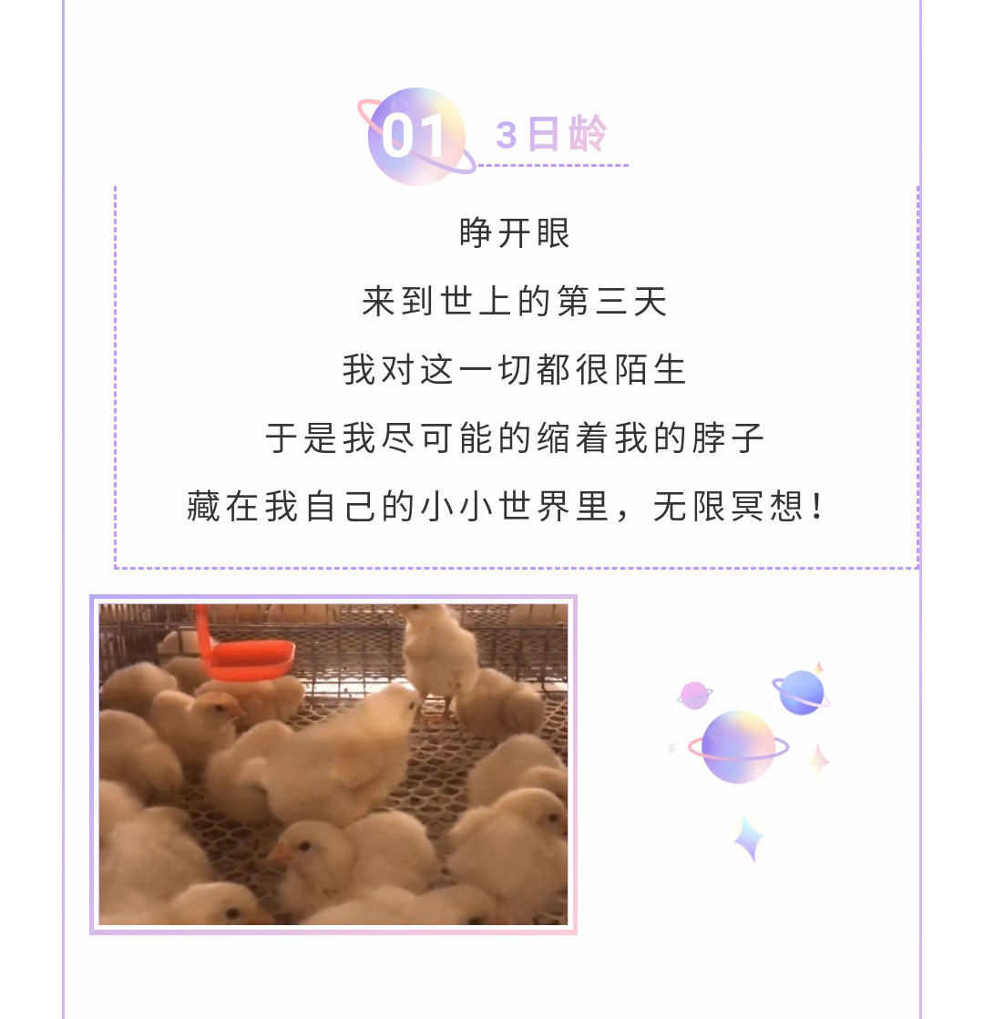 澳门十大电子游戏入口网站