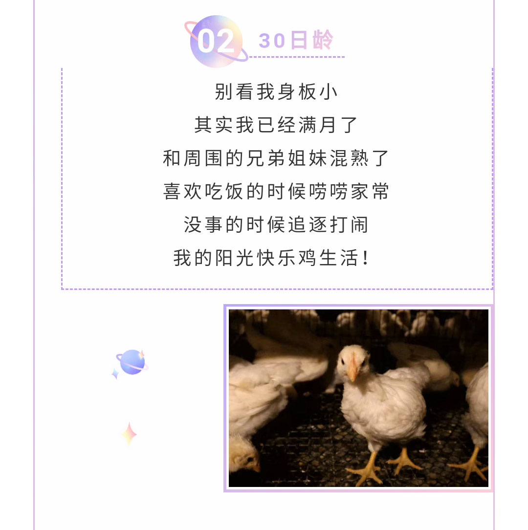 澳门十大电子游戏入口网站