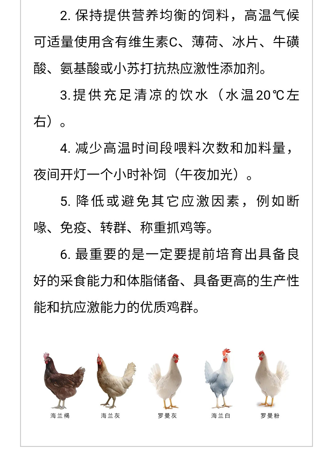 澳门十大电子游戏入口网站