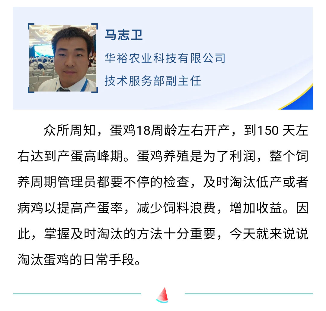 澳门十大电子游戏入口网站