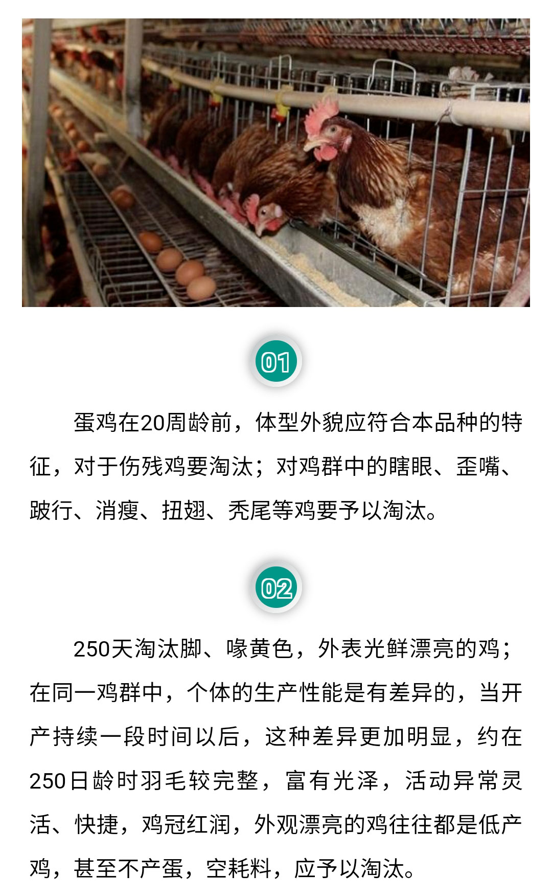 澳门十大电子游戏入口网站