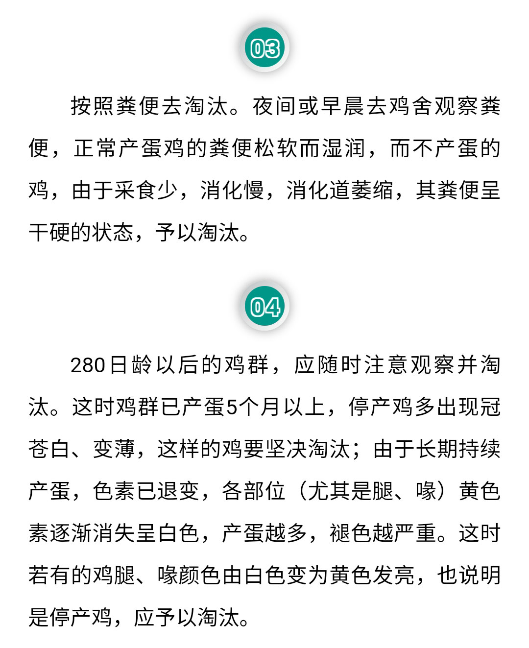 澳门十大电子游戏入口网站