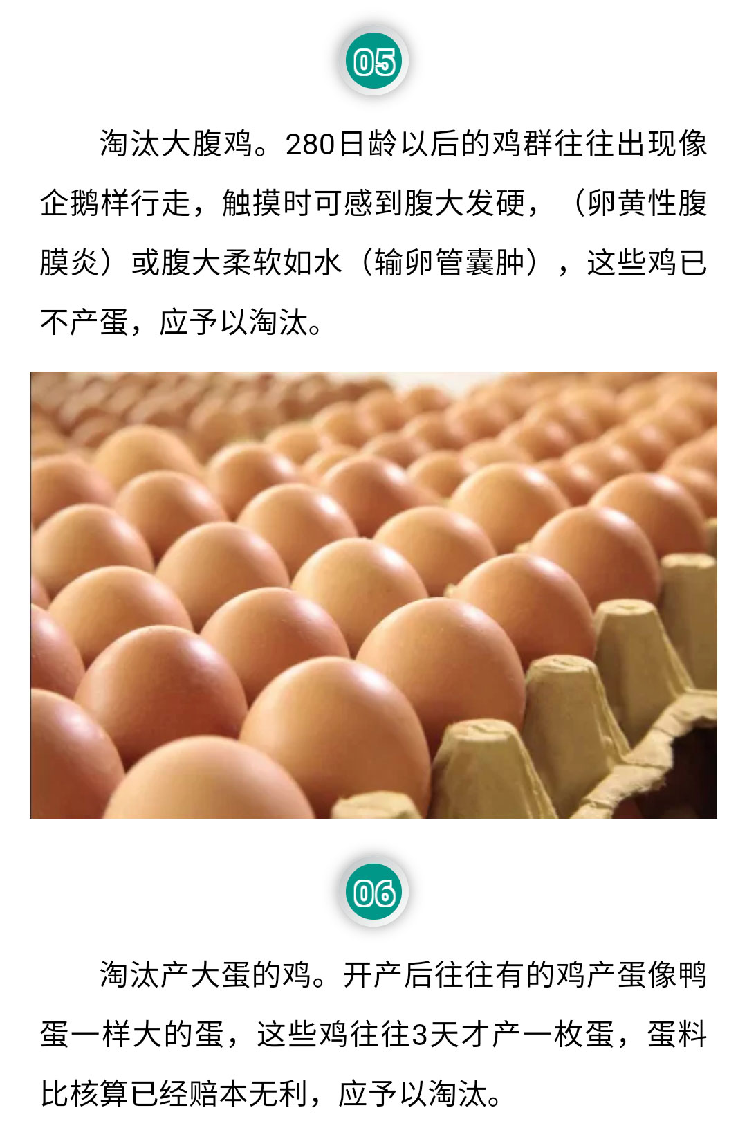 澳门十大电子游戏入口网站