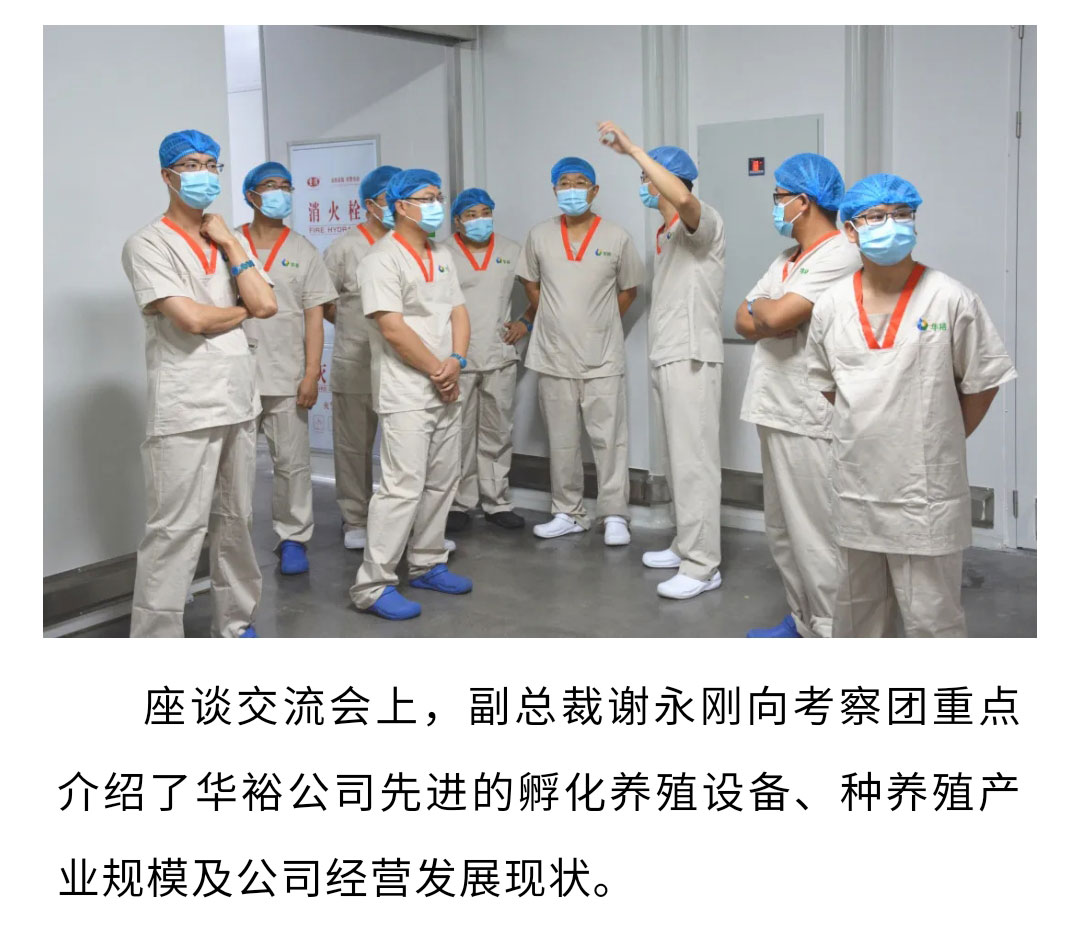 澳门十大电子游戏入口网站