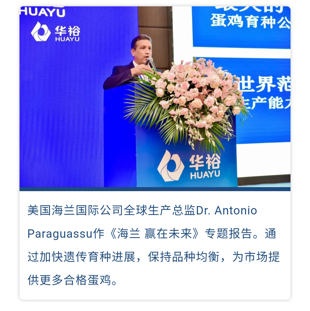 澳门十大电子游戏入口网站