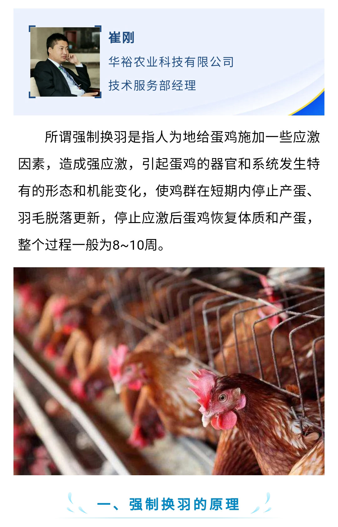 澳门十大电子游戏入口网站