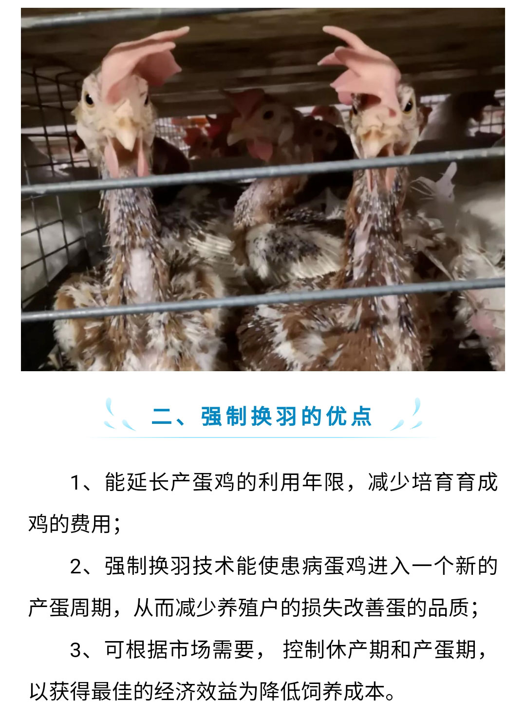 澳门十大电子游戏入口网站