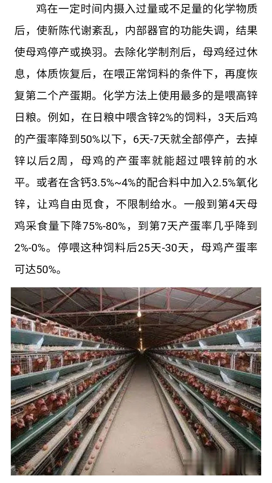 澳门十大电子游戏入口网站