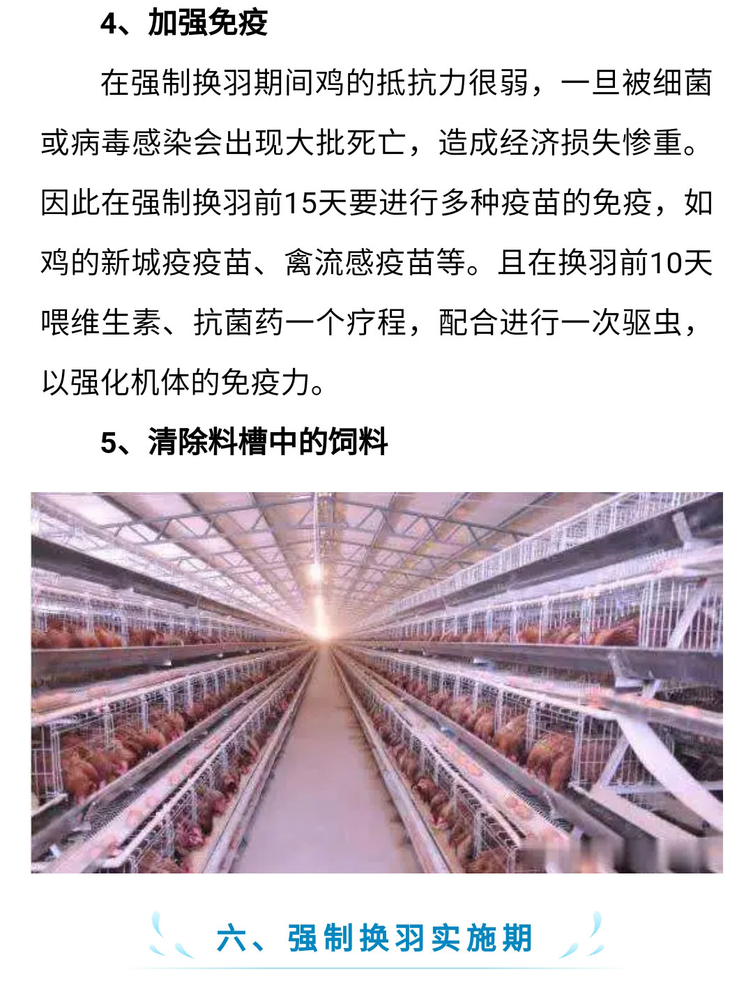 澳门十大电子游戏入口网站