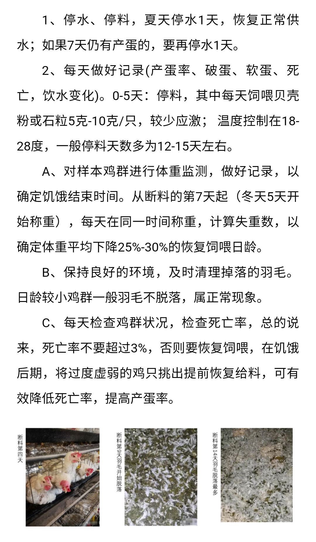 澳门十大电子游戏入口网站