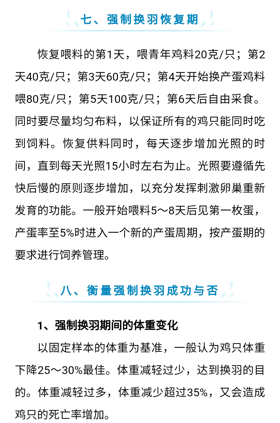 澳门十大电子游戏入口网站