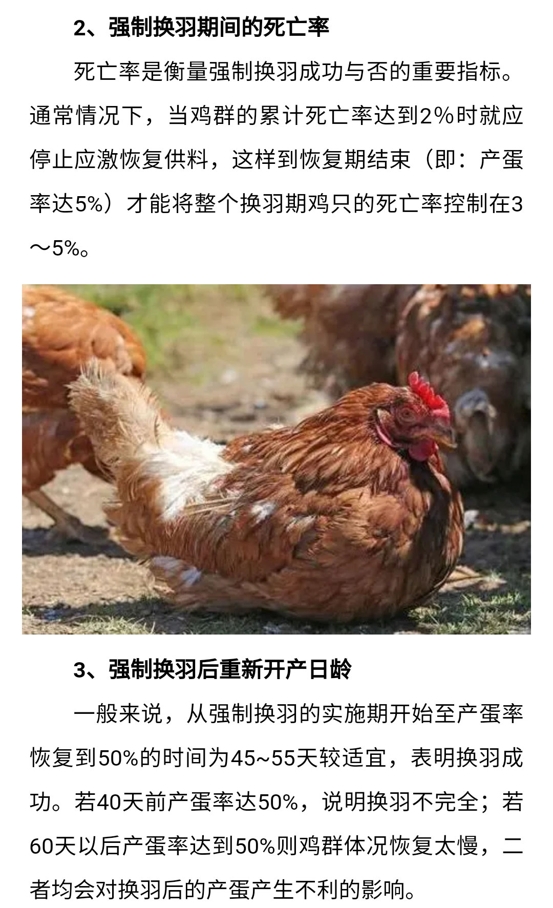 澳门十大电子游戏入口网站