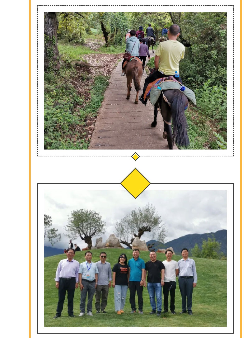 澳门十大电子游戏入口网站