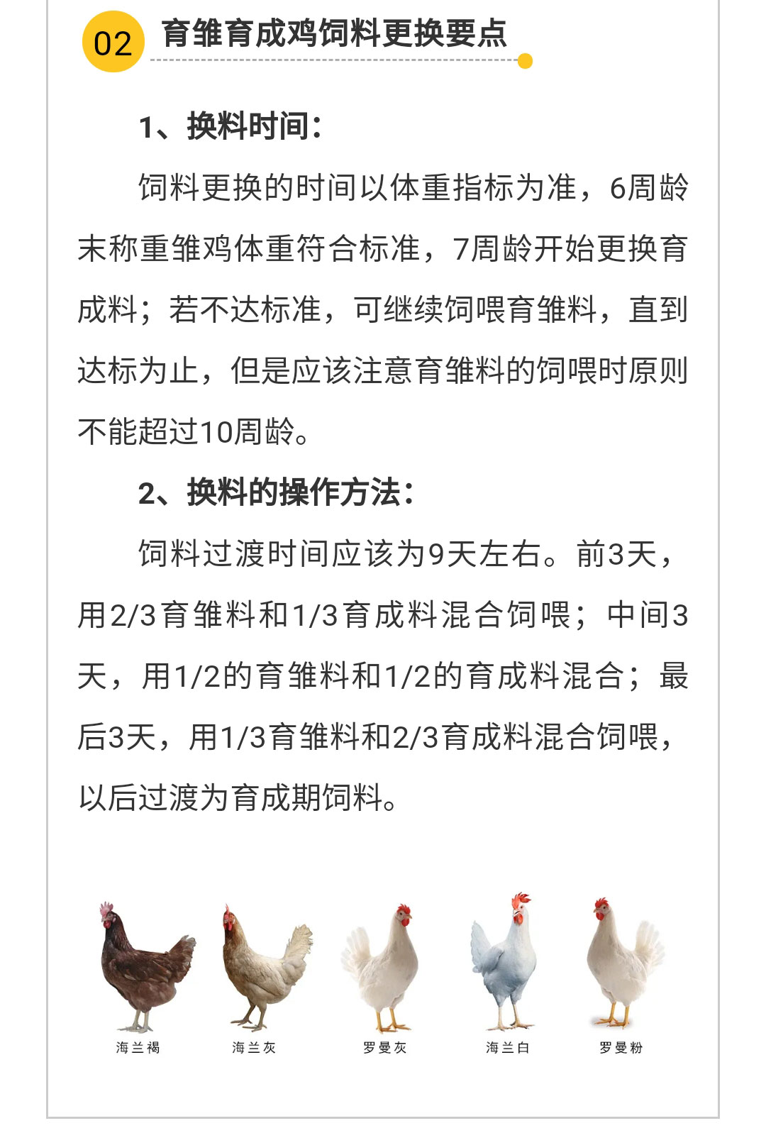 澳门十大电子游戏入口网站