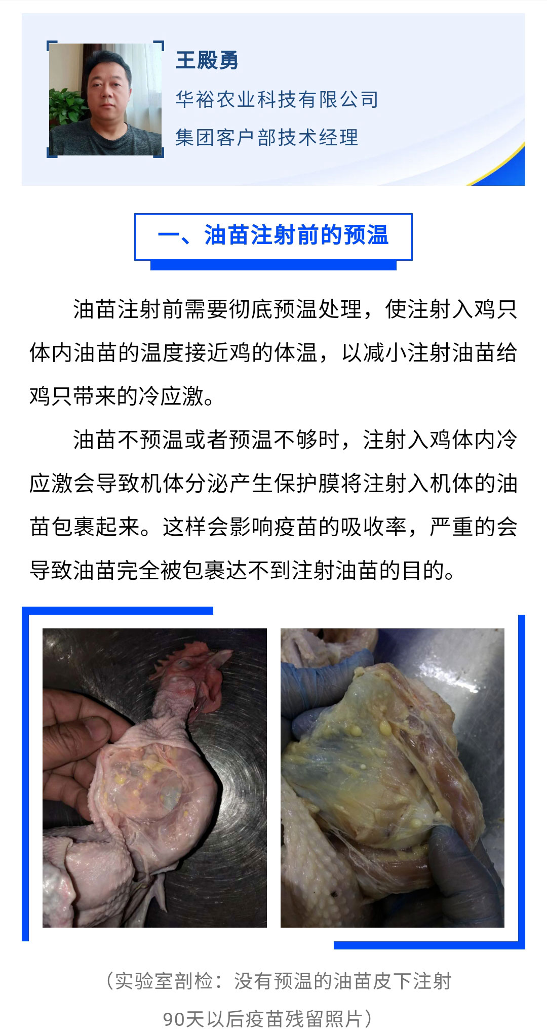 澳门十大电子游戏入口网站