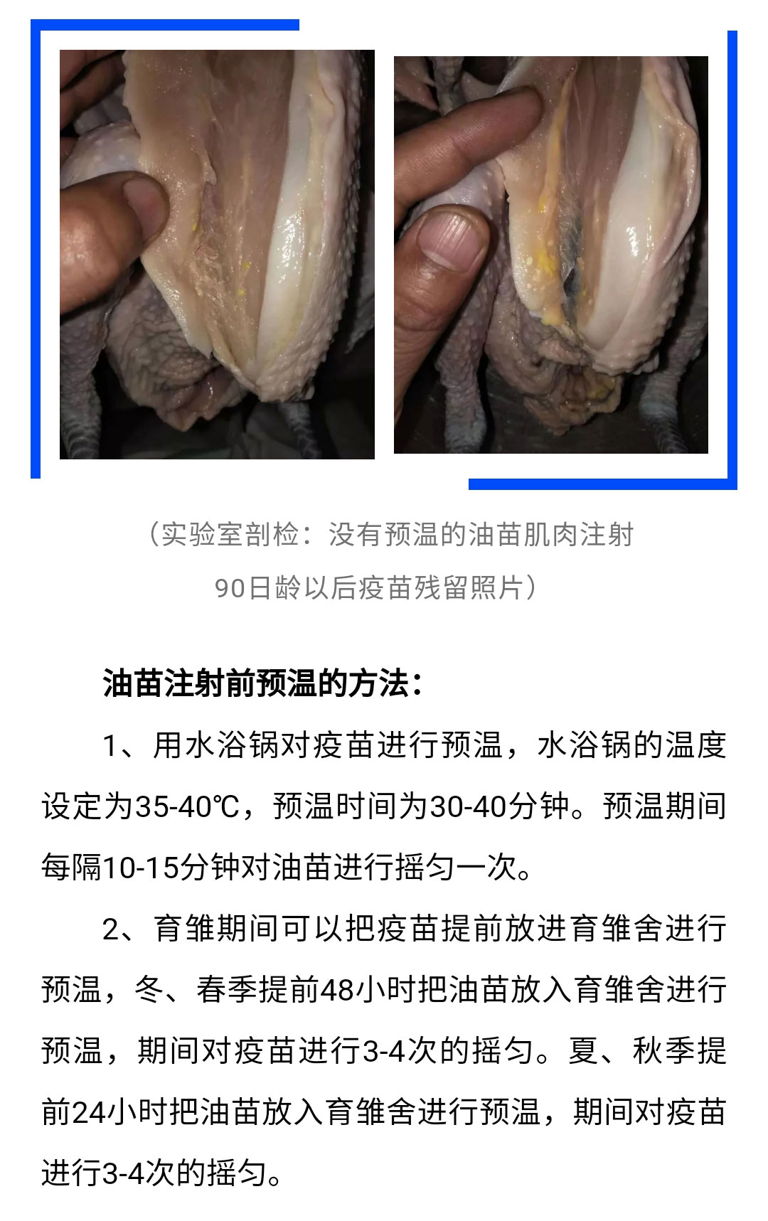 澳门十大电子游戏入口网站