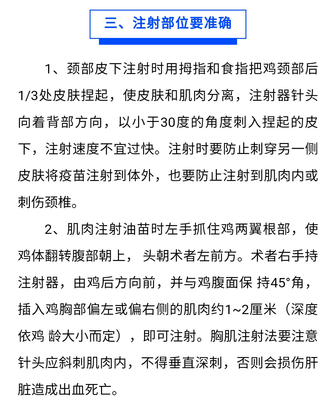 澳门十大电子游戏入口网站