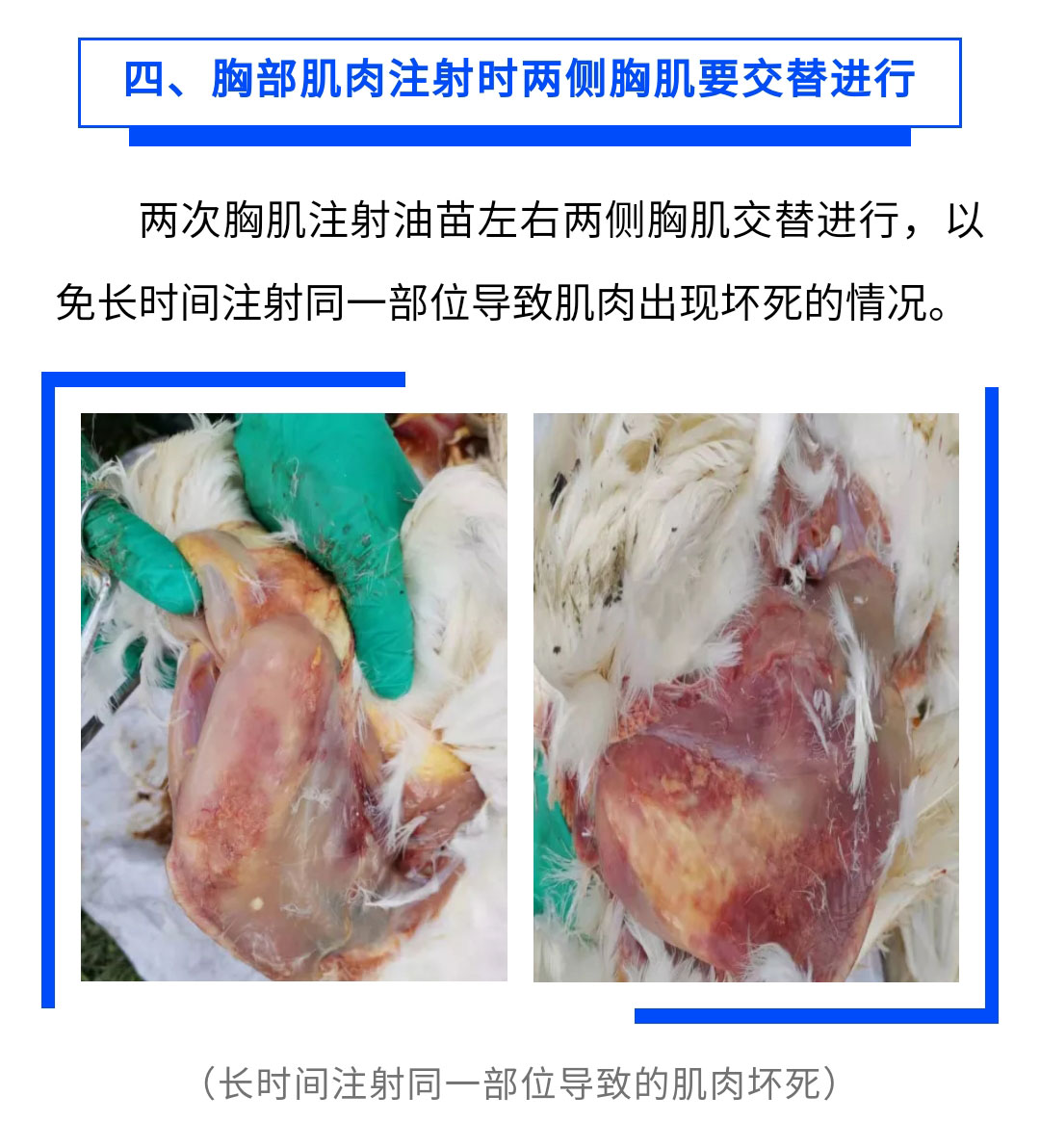 澳门十大电子游戏入口网站