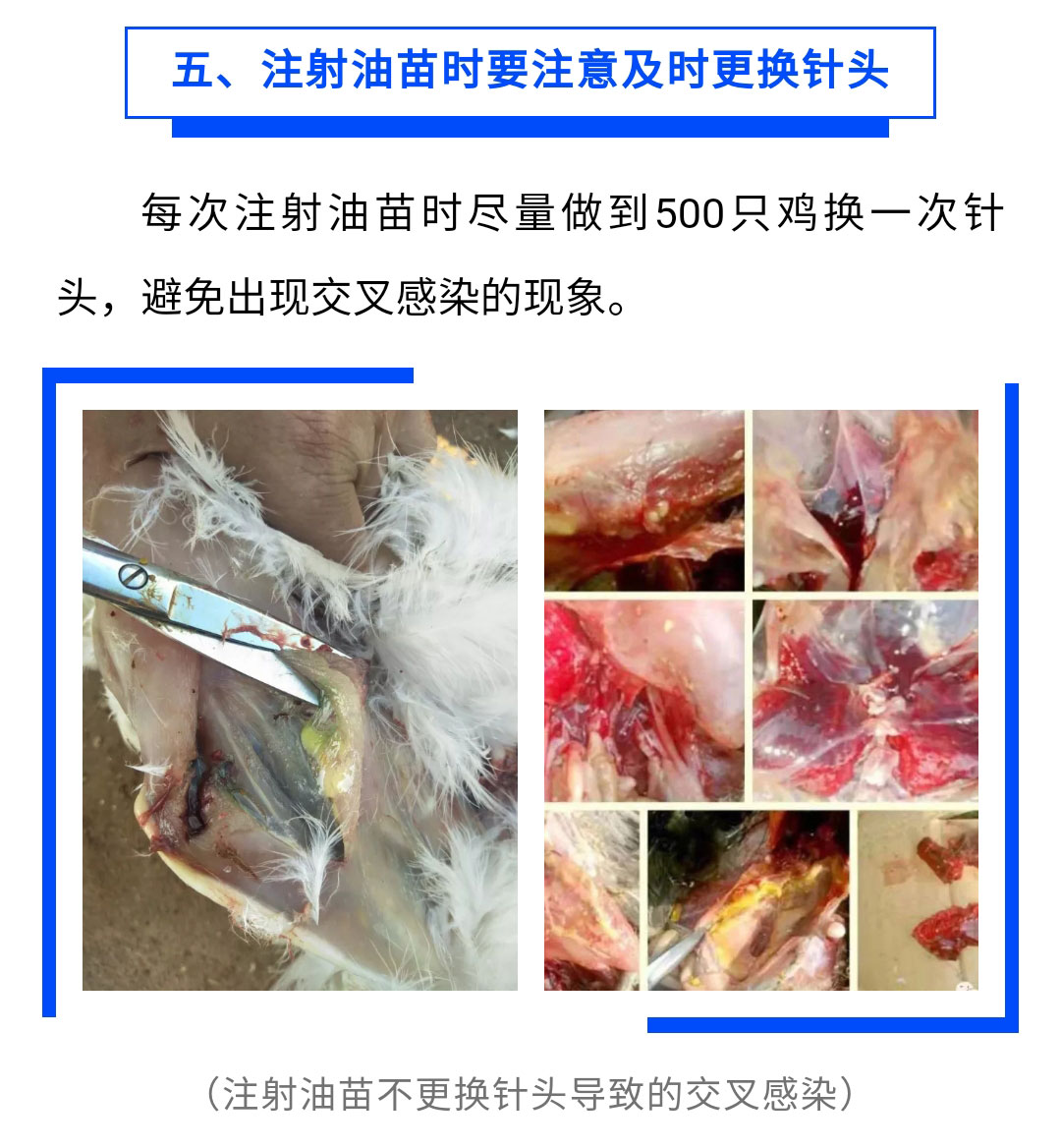 澳门十大电子游戏入口网站