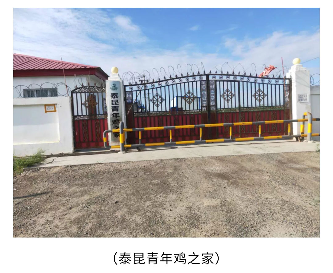 澳门十大电子游戏入口网站