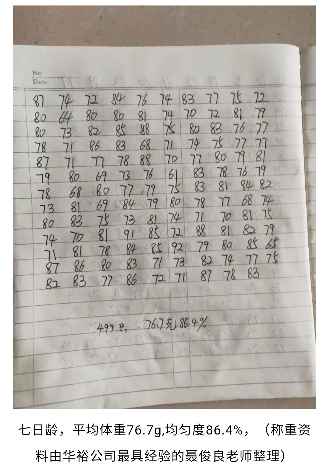 澳门十大电子游戏入口网站