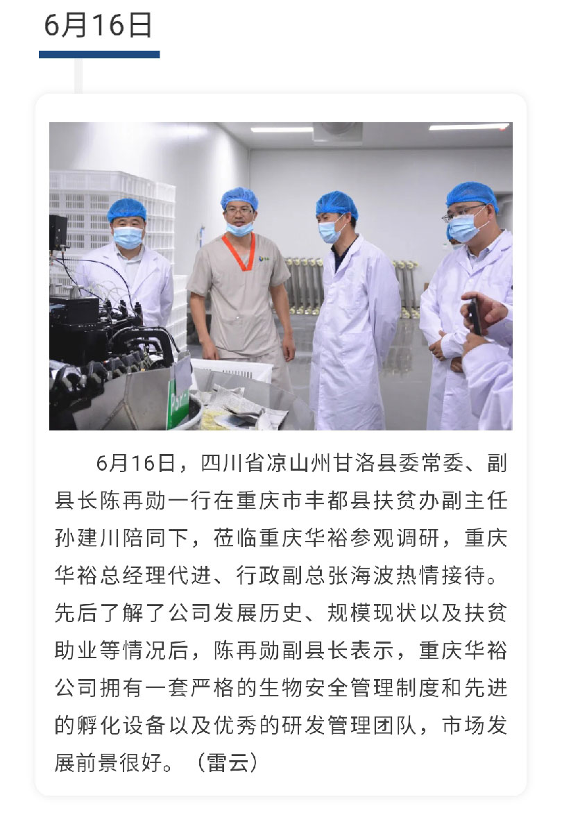 澳门十大电子游戏入口网站