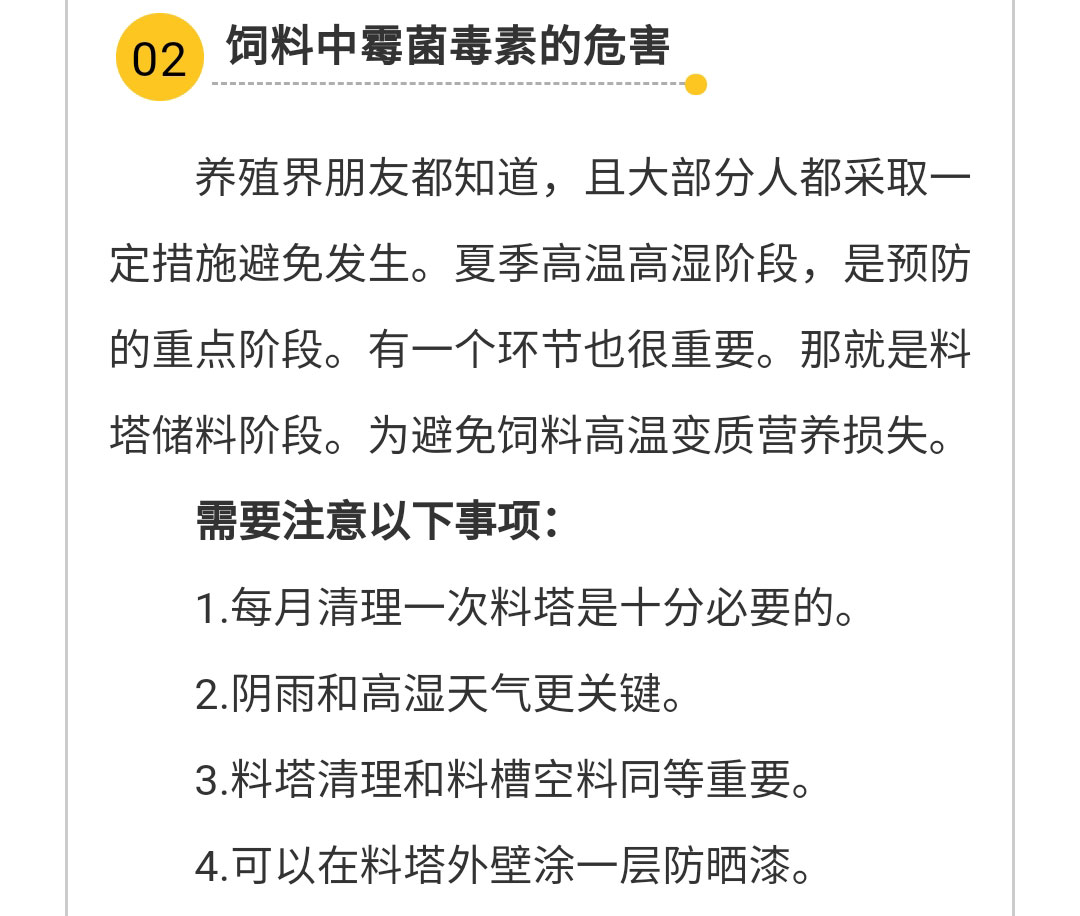 澳门十大电子游戏入口网站