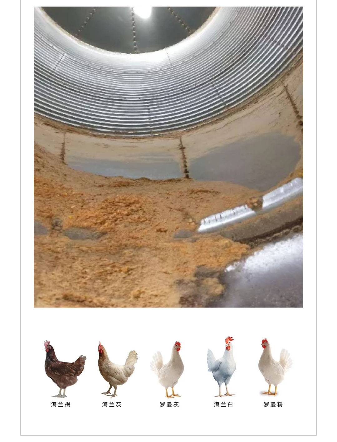 澳门十大电子游戏入口网站