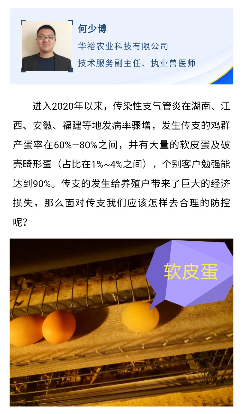 澳门十大电子游戏入口网站