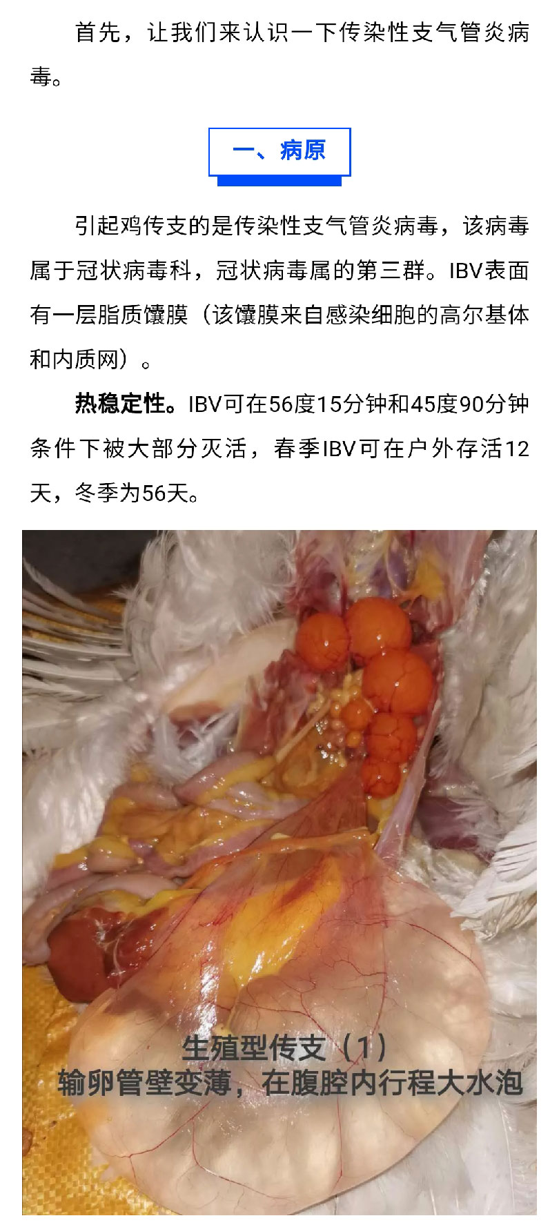 澳门十大电子游戏入口网站