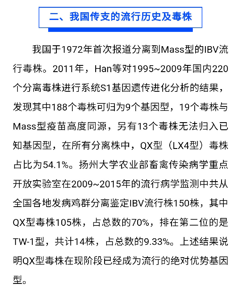 澳门十大电子游戏入口网站