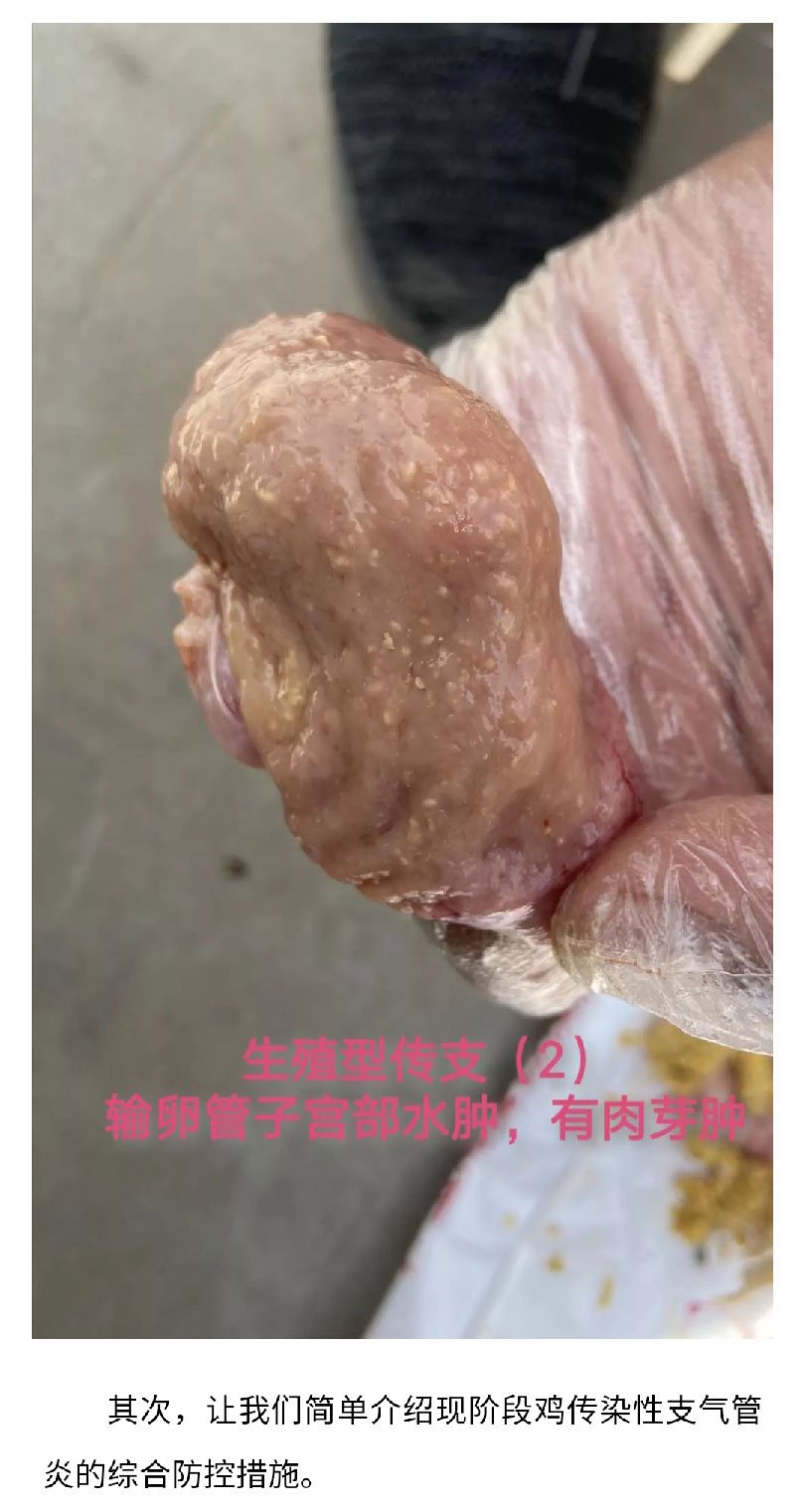 澳门十大电子游戏入口网站