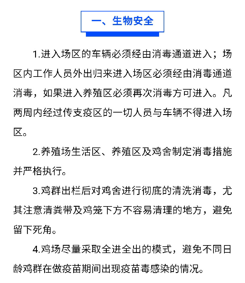 澳门十大电子游戏入口网站