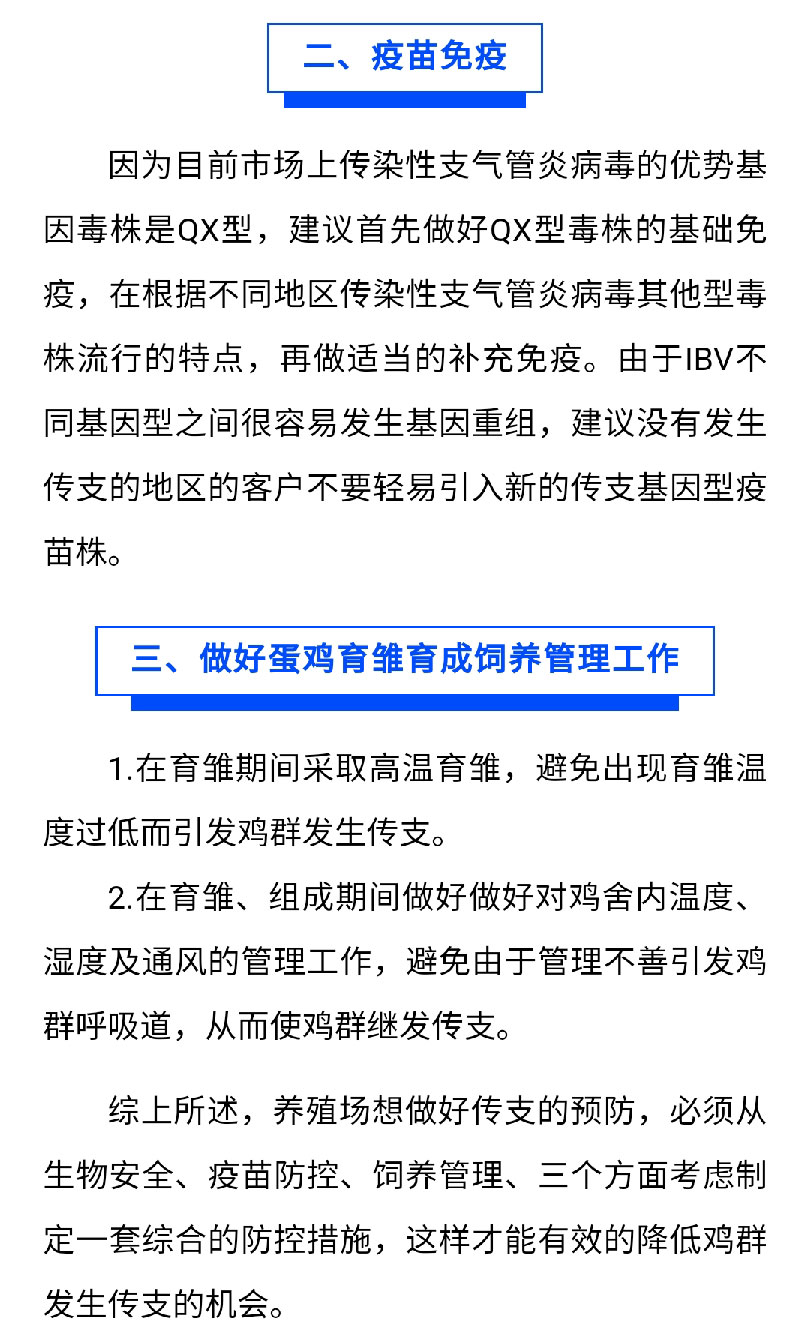 澳门十大电子游戏入口网站