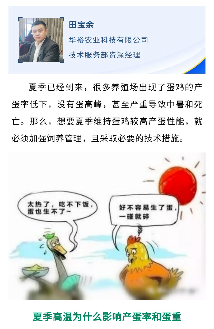澳门十大电子游戏入口网站