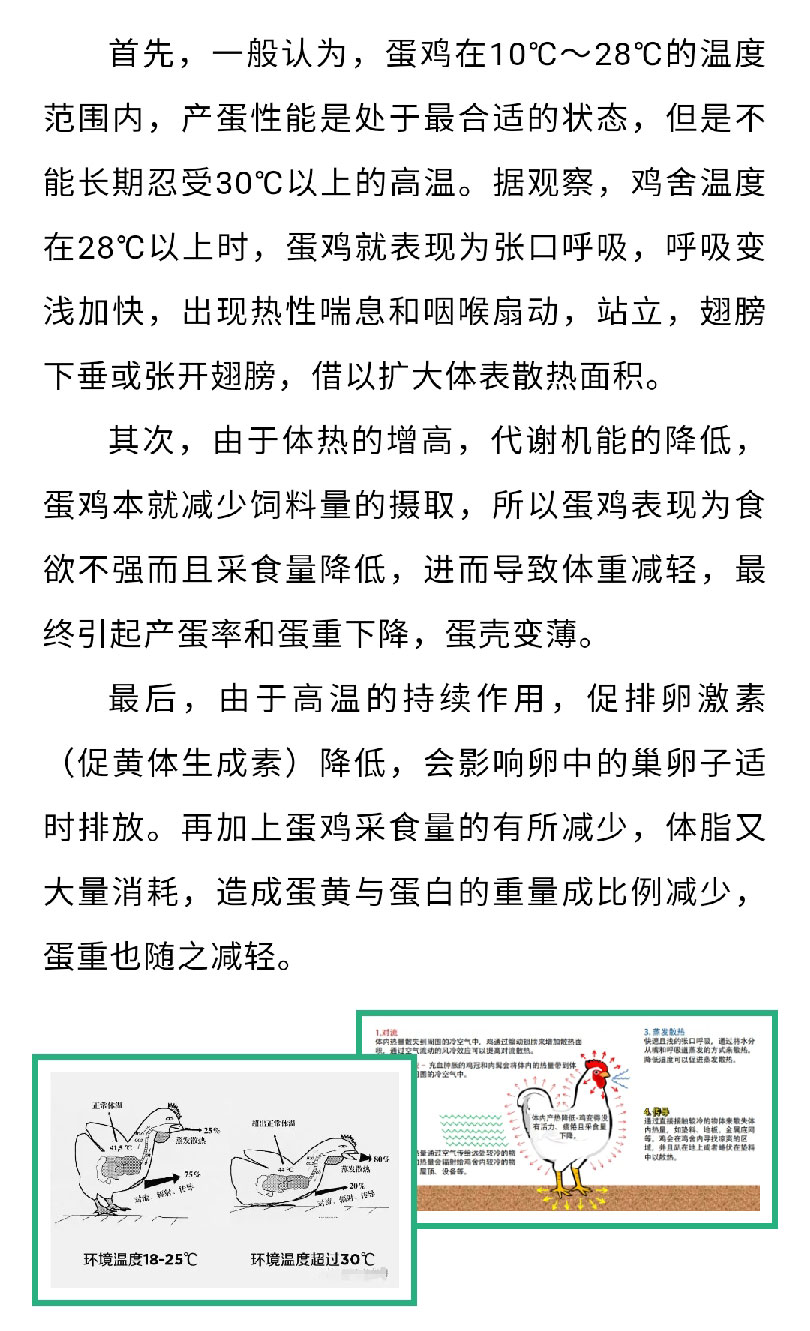 澳门十大电子游戏入口网站
