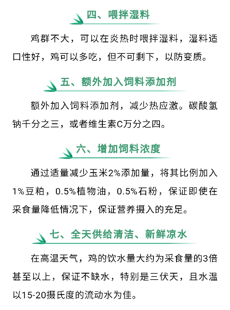 澳门十大电子游戏入口网站