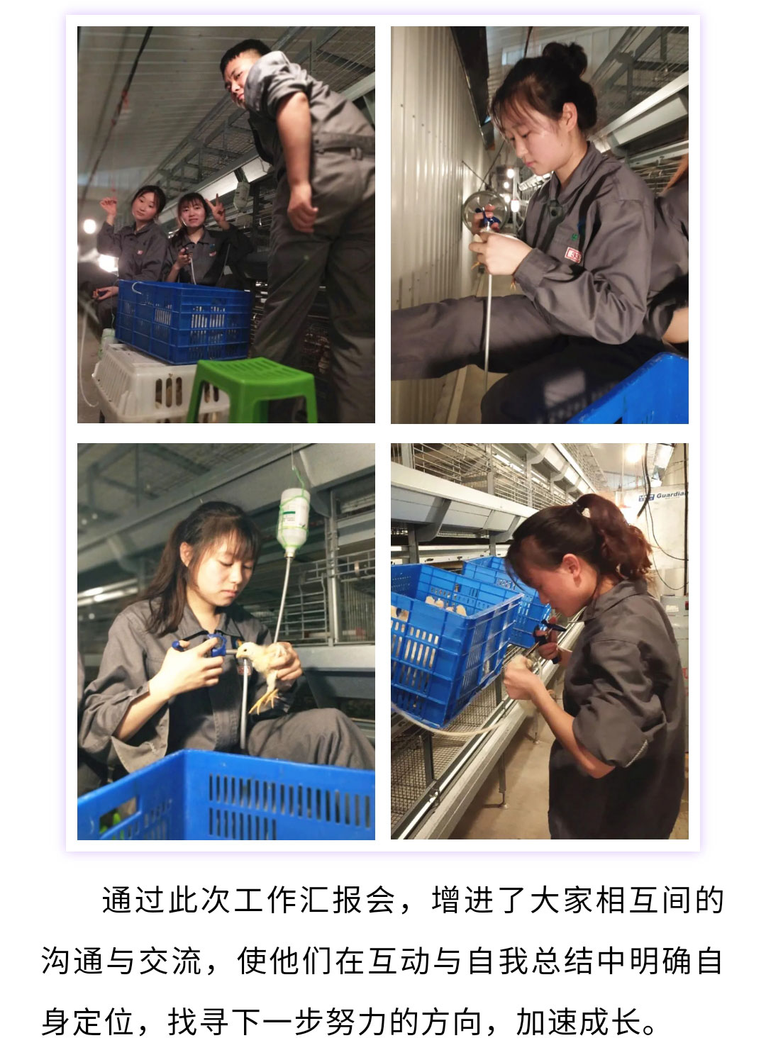 澳门十大电子游戏入口网站