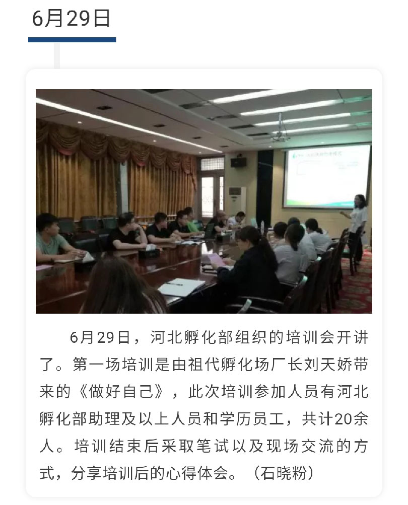 澳门十大电子游戏入口网站